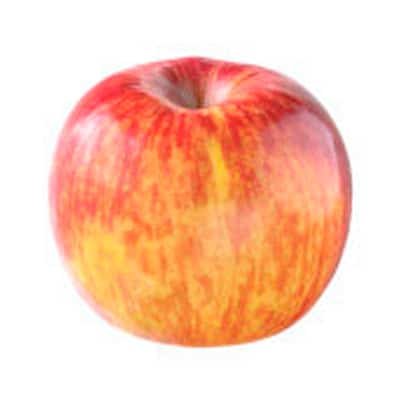 manzana tipos