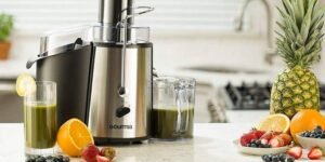 Extractor de jugo pequeño