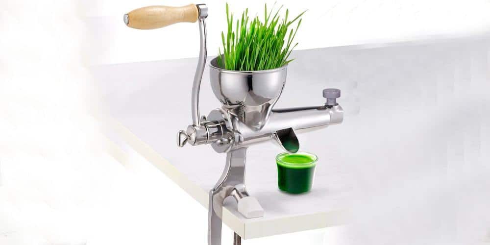 extractor de pasto de trigo